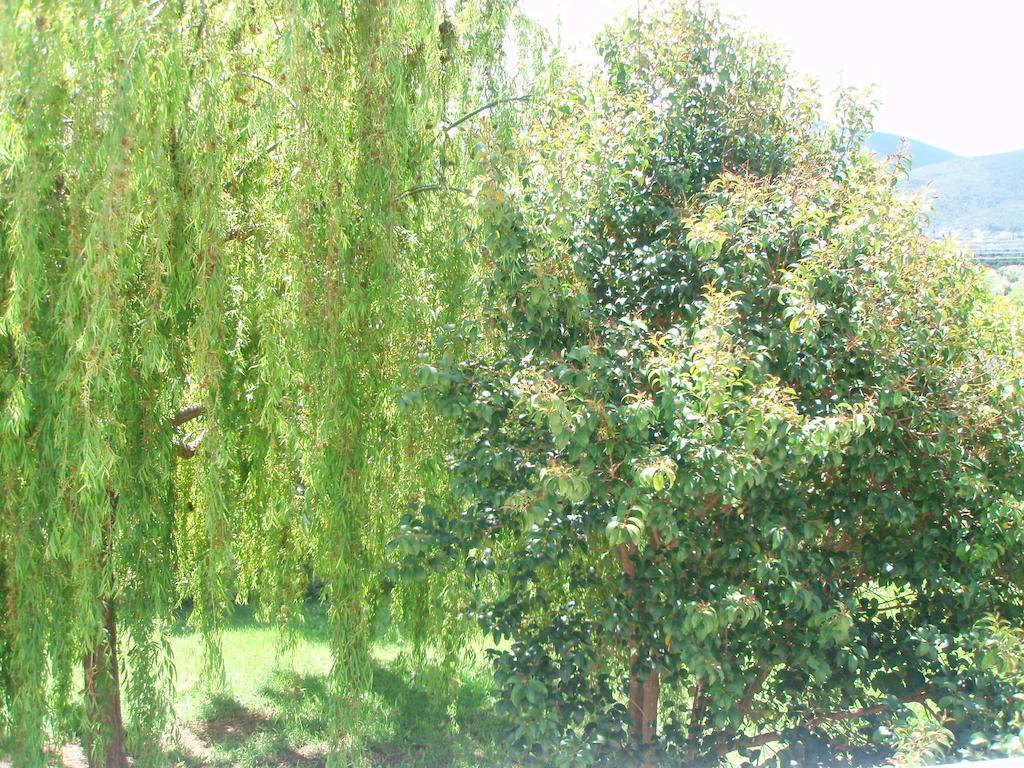 Finikes Studios Kefalonia Sami  Extérieur photo