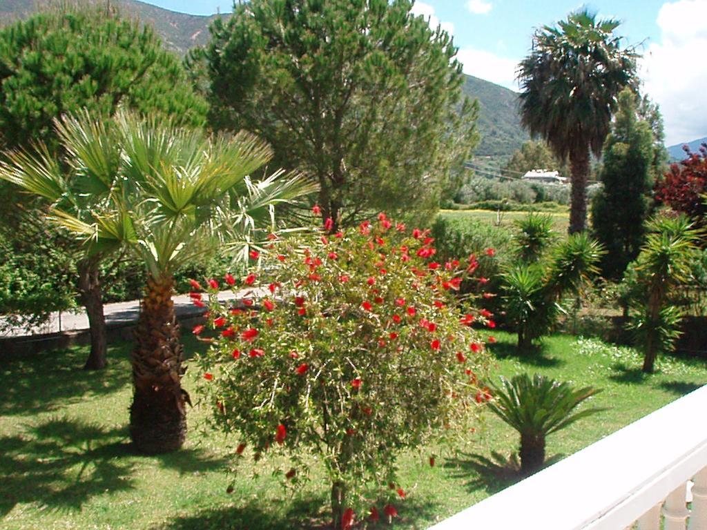 Finikes Studios Kefalonia Sami  Extérieur photo