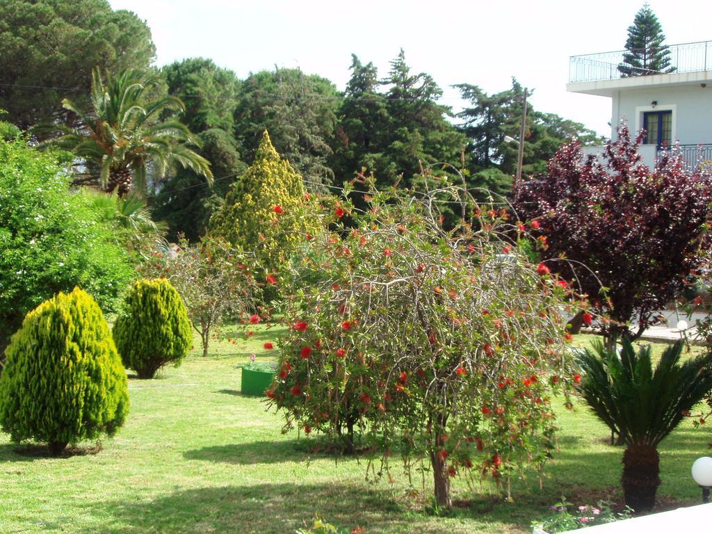 Finikes Studios Kefalonia Sami  Extérieur photo