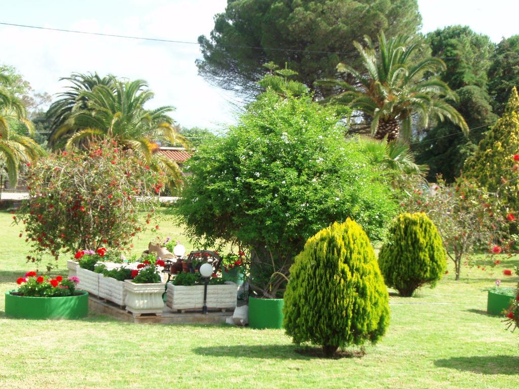 Finikes Studios Kefalonia Sami  Extérieur photo