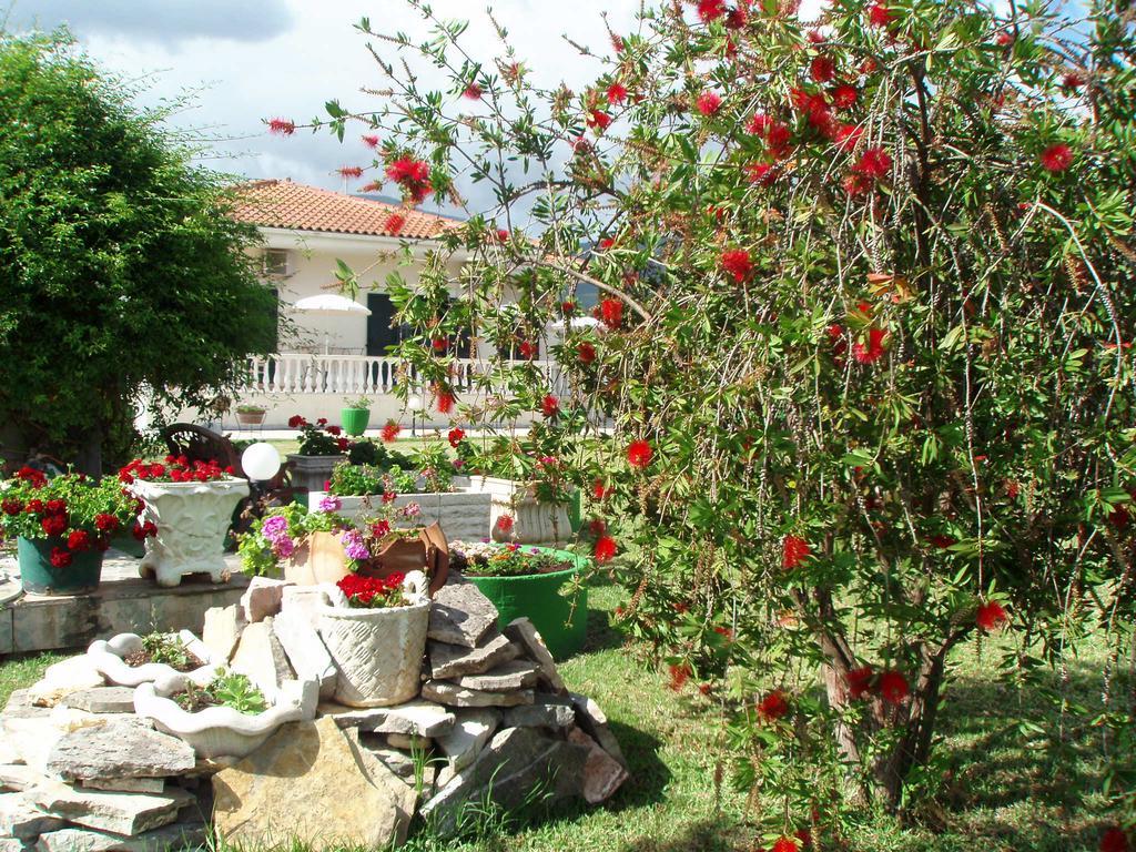 Finikes Studios Kefalonia Sami  Extérieur photo