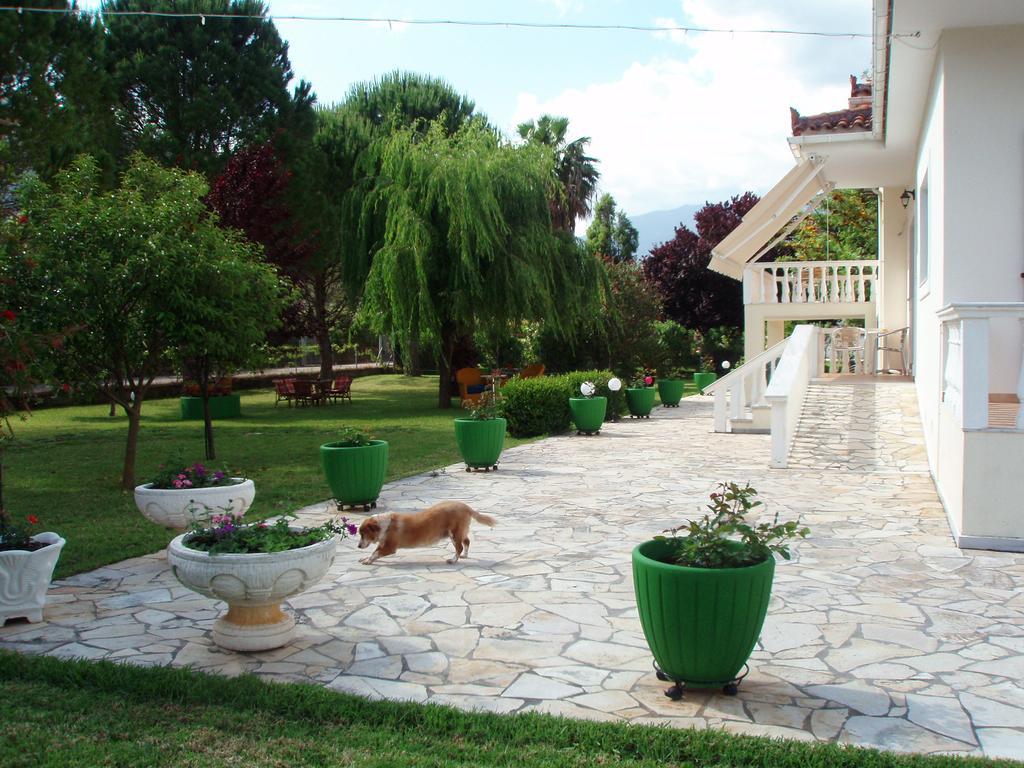 Finikes Studios Kefalonia Sami  Extérieur photo