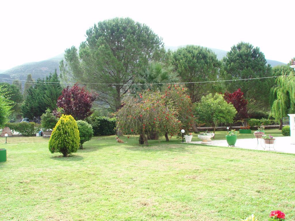 Finikes Studios Kefalonia Sami  Extérieur photo