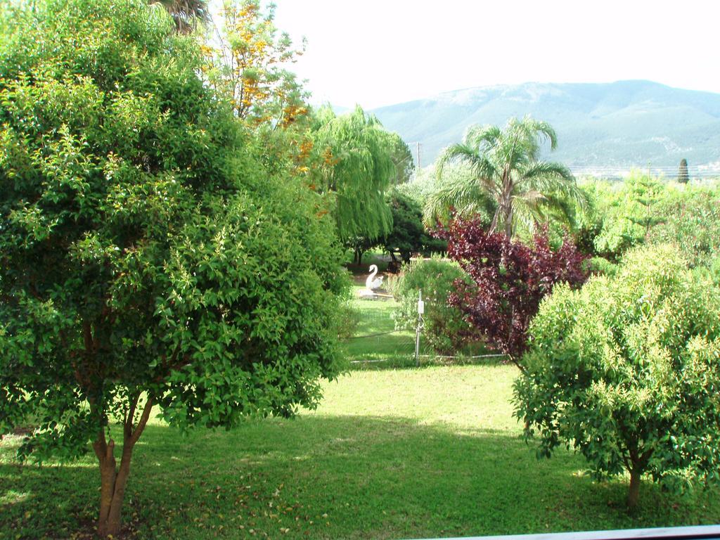 Finikes Studios Kefalonia Sami  Extérieur photo
