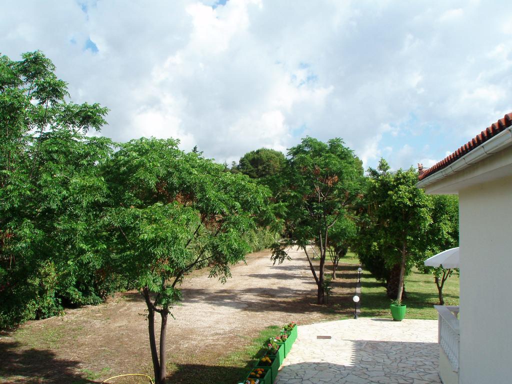 Finikes Studios Kefalonia Sami  Extérieur photo